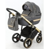 Коляска Adamex Cortina Special Edition