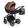Коляска Anex Sport