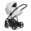 Детская коляска Riko Aicon Ecco