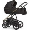 Детская коляска Riko Swift Premium