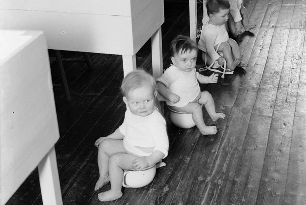 Приучили к горшку